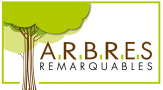 Arbres remarquables