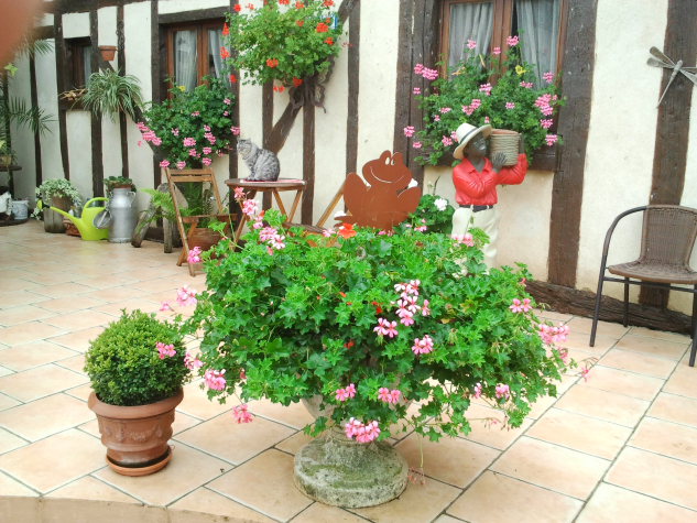 photo