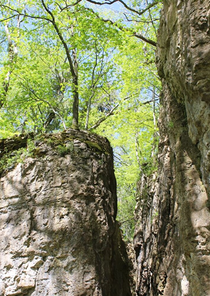 Escalade à la falaise du Côna - BOURMONT - Haute-Marne Attractivité