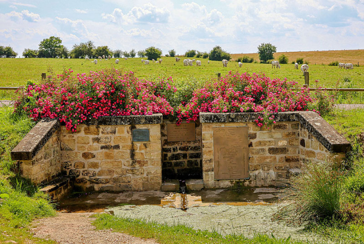 SOURCE DE LA MEUSE - POUILLY-EN-BASSIGNY - Haute-Marne Attractivité